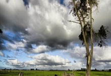 亿万28官网：世体：阿劳霍和费兰去年参与瓦伦地区救灾工作并要求保持匿名.